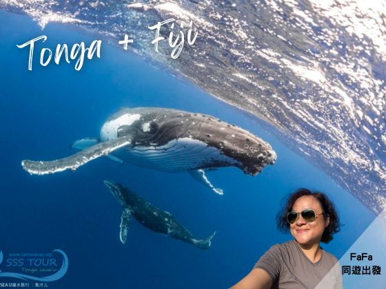 2026-09-13 Tonga Swim with Whale+Fiji Shark Encounter 13D10N Program -Travel wt Fa Fa -2 seats left